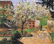 Camille Pissarro Flowering Plum Tree, Eragny Spain oil painting artist